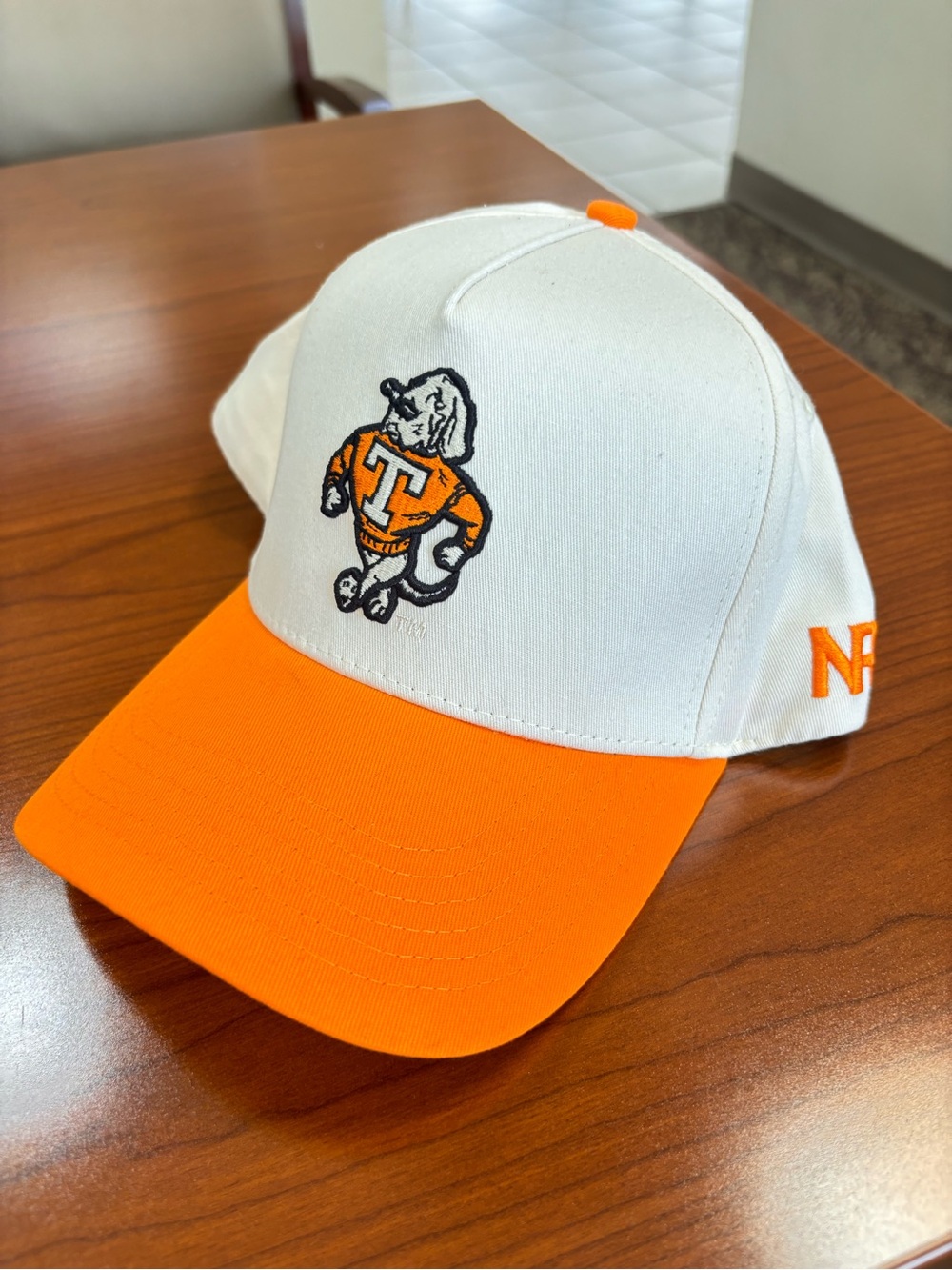 Vols No Rivals Hat